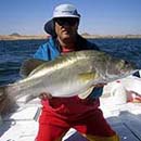 Egypt - Lake Nasser