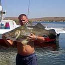 Egypt - Lake Nasser