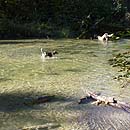 Canada - Fishing in BC