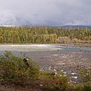 Canada - Fishing in BC