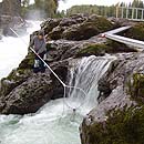 Canada - Fishing in BC