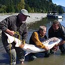 Canada - Fishing in BC