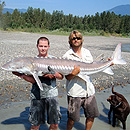 Canada - Sturgeons