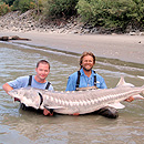 Canada - Sturgeons