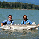 Canada - Sturgeons