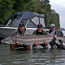 Canada - Sturgeons