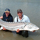 Canada - Sturgeons