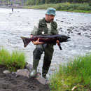 Canada - Salmons