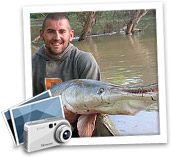 USA - Alligator Gar - Texas