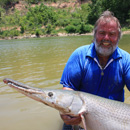 USA - Alligator Gar - Texas