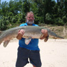 USA - Alligator Gar - Texas