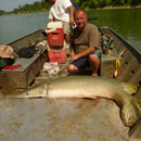 USA - Alligator Gar - Texas