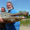 USA - Alligator Gar - Texas