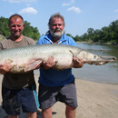 USA - Alligator Gar - Texas