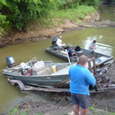 USA - Alligator Gar - Texas