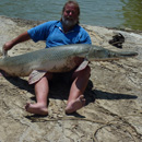 USA - Alligator Gar - Texas