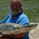 USA - Alligator Gar - Texas