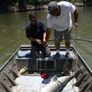 USA - Alligator Gar - Texas