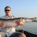 USA - Alligator Gar - Texas