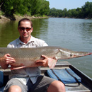 USA - Alligator Gar - Texas