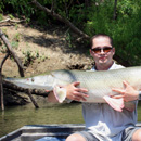 USA - Alligator Gar - Texas